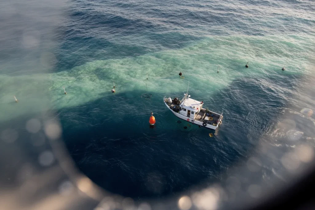 Mokslinis įspėjimas: jūra darosi gėlesnė ir gali pakeisti lietų bei sausrų režimą visame pasaulyje
