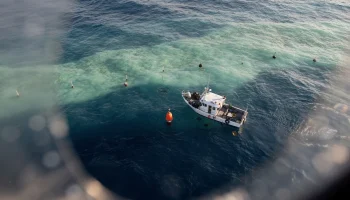 Mokslinis įspėjimas: jūra darosi gėlesnė ir gali pakeisti lietų bei sausrų režimą visame pasaulyje